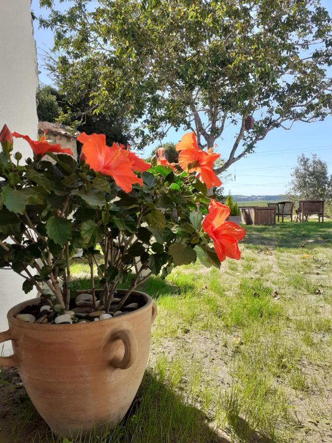 ***** Quinta Do Por Do Sol ***** Daire Figueira da Foz Dış mekan fotoğraf