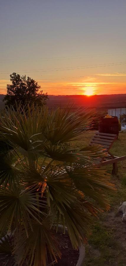 ***** Quinta Do Por Do Sol ***** Daire Figueira da Foz Dış mekan fotoğraf